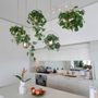 Plants For Friends