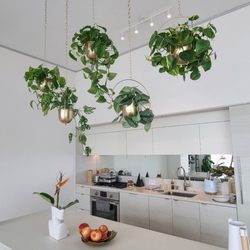 Plants For Friends