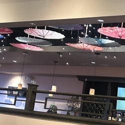 Red Maple - Umbrella Ceilings