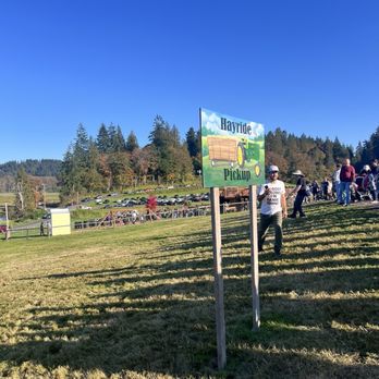 Bob's Corn & Pumpkin Farm - Pumpkin Patches Near Me - Snohomish, Washington