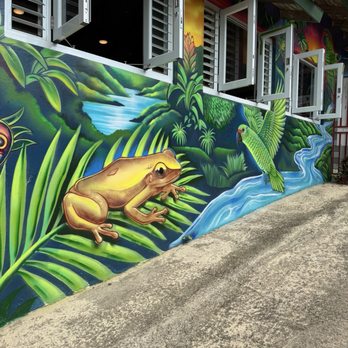Rainforest Zipline Park - Tours Near Me - Rio Grande, Puerto Rico Rainforest Zipline Park - Tours Near Me - Rio Grande, Puerto Rico