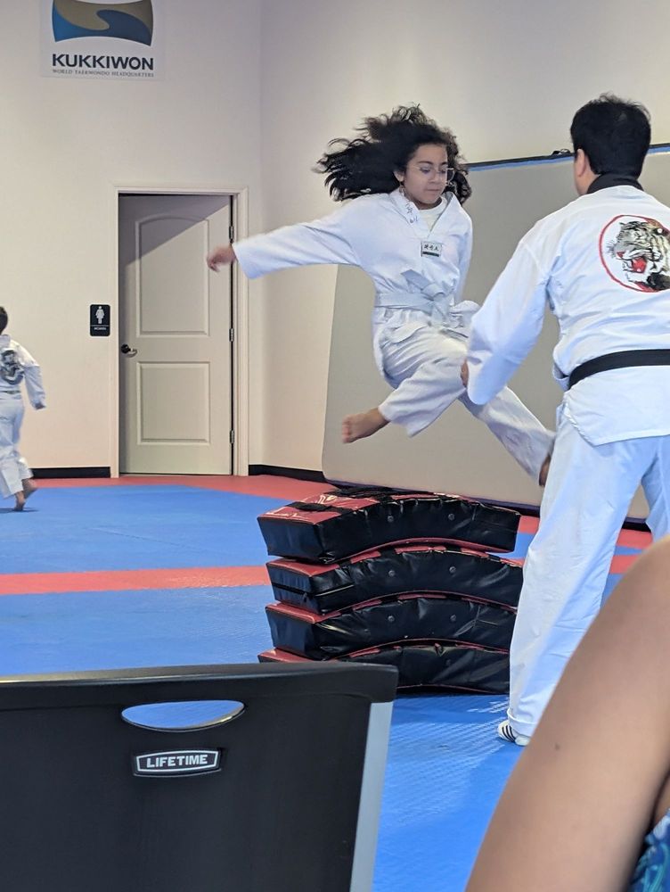 Master Jin's White Tiger Tae Kwon Do Logo