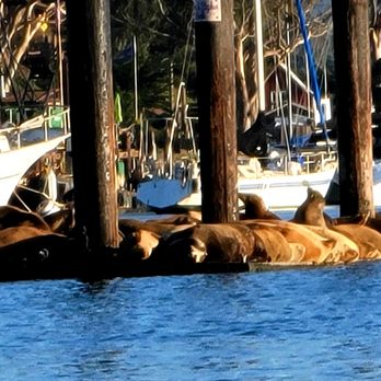 Rock Kayak - Rafting/Kayaking Near Me - Morro Bay, California Rock Kayak - Rafting/Kayaking Near Me - Morro Bay, California