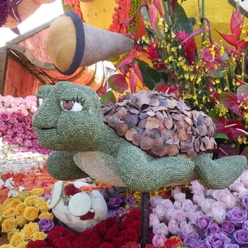 Pasadena Tournament of Roses - 2013 turtle close up - Local Flavor Near Me - Pasadena, California Pasadena Tournament of Roses - 2013 turtle close up - Local Flavor Near Me - Pasadena, California