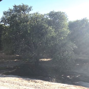 Gless Ranch - Orange Tree's - Farmers Market Near Me - Riverside, California