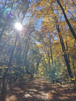 Mohonk Preserve by null