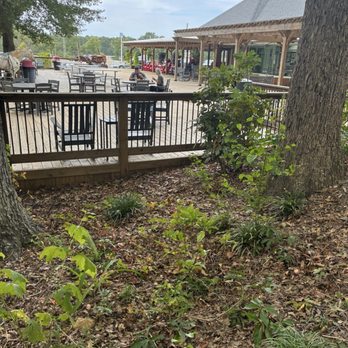 Peach Park - Out back behind the store - Ice Cream & Frozen Yogurt Near Me - Clanton, Alabama