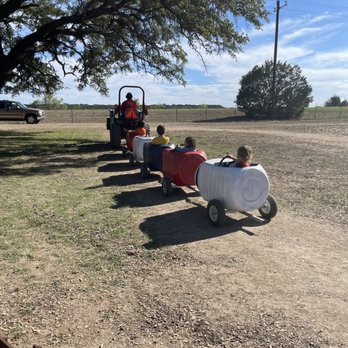Idle Creek Farms - Pumpkin Patches Near Me - Kempner, Texas