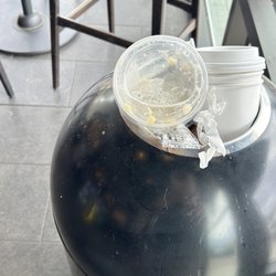 Starbucks - Trash