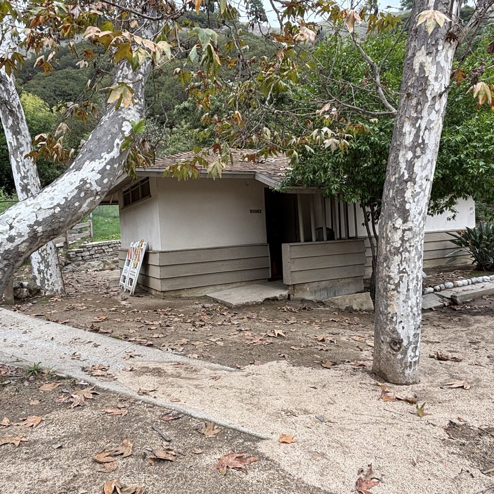 Least bells vireo hi-res stock photography and images - Alamy, image size:1000x1000