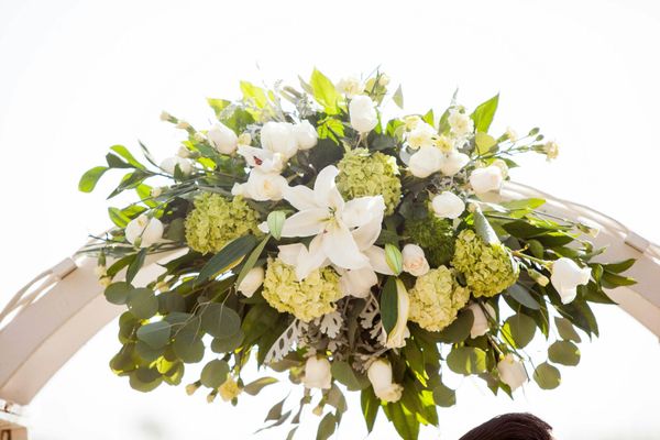 Blossoms 46 Photos 38 Reviews Florists 902 Turquoise St Blossoms 46 Photos 38 Reviews