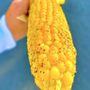 Photo of Best Roasted Corn Stand