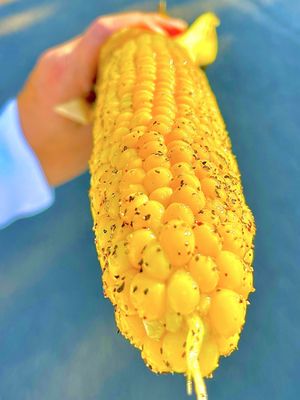Best Roasted Corn Stand by null