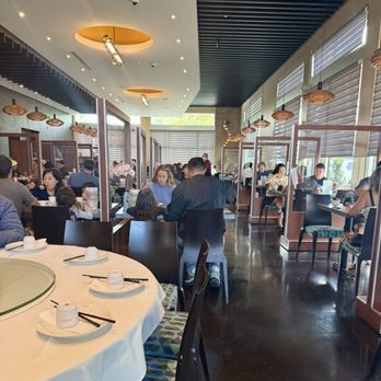 Lunasia Dim Sum House - Spacious and beautiful decor - Dim Sum Near Me - Cerritos, California Lunasia Dim Sum House - Spacious and beautiful decor - Dim Sum Near Me - Cerritos, California