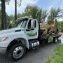Wreckless Towing & Recovery