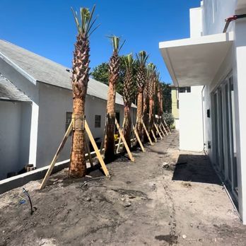 Lavinscape Trees & Landscaping - Landscaping Near Me Lavinscape Trees & Landscaping - Landscaping Near Me