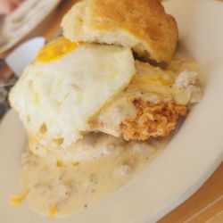 HunnyBunny Biscuit Co - Cannonball