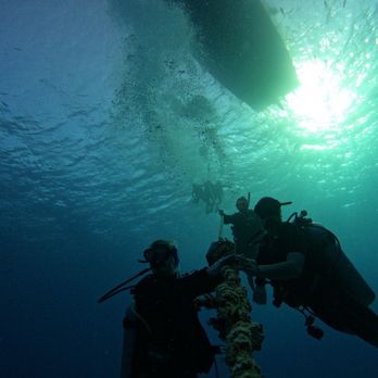Cozumel Dive School - Scuba Diving Near Me - Cozumel, ROO