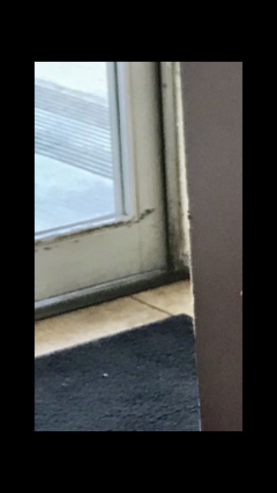 BRIGHT NOW DENTAL Updated August 2024 1561 E Orangethorpe Ave