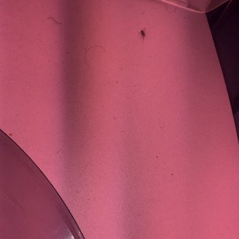 Planet Fitness - Dead bug and hairs - Gyms Near Me - Silver Spring, Maryland Planet Fitness - Dead bug and hairs - Gyms Near Me - Silver Spring, Maryland