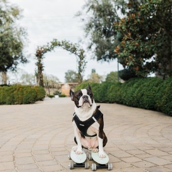 Scribner Bend Vineyards - Venues & Event Spaces Near Me - Sacramento, California