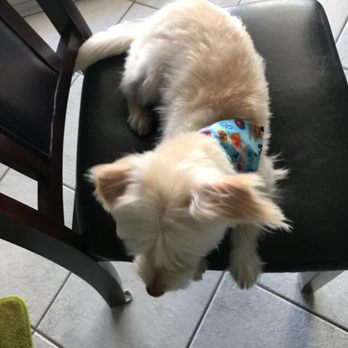 Baxters Pet Grooming - Pet Groomers Near Me - Lancaster, California Baxters Pet Grooming - Pet Groomers Near Me - Lancaster, California