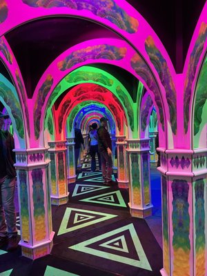 Magowan's Infinite Mirror Maze by null