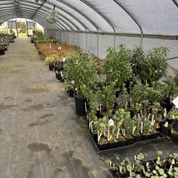 1. Out in the Garden Nursery