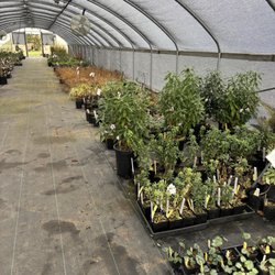 Out in the Garden Nursery