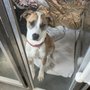 Photo of National Humane Society