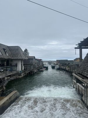 Carlson's Fishery by null