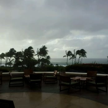 Seaview Terrace - Sea view - Coffee & Tea Near Me - Poipu, Hawaii Seaview Terrace - Sea view - Coffee & Tea Near Me - Poipu, Hawaii