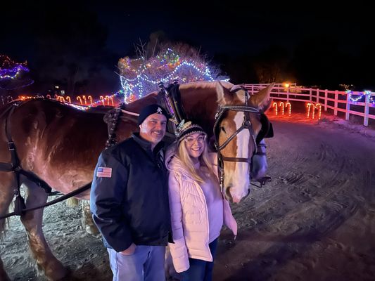 Temecula carriage company by null