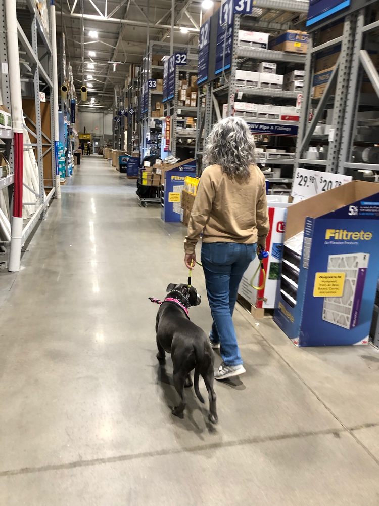 DOG TRAINING CAMP USA Updated September 2024 267 Salt Wl Rd