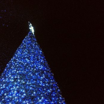 Great America's Winterfest - Christmas tree - Festivals Near Me - Santa Clara, California Great America's Winterfest - Christmas tree - Festivals Near Me - Santa Clara, California