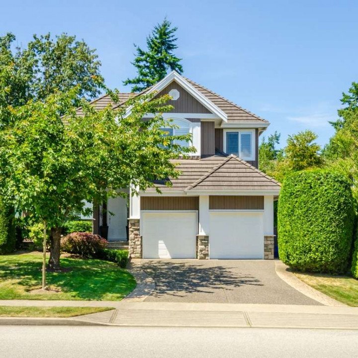 Warrior Tree Services - tree service in Boise, ID