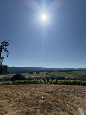 Resonance Vineyard by null