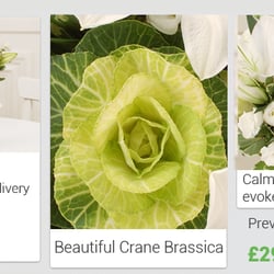 Order Flowers