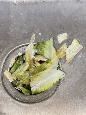 Hops & Thyme by null