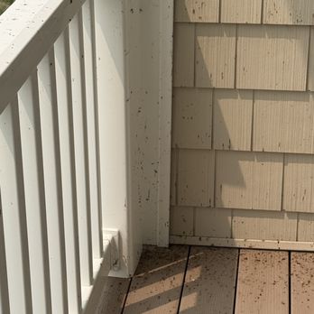 Siebert Realty - Vacation Rentals Near Me - Virginia Beach, Virginia Siebert Realty - Vacation Rentals Near Me - Virginia Beach, Virginia