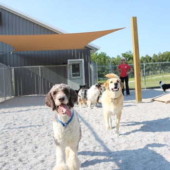 Bark Avenue Pet Lodge - Pet Sitting Near Me - Springdale, Arkansas