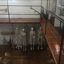 RISD Nature Lab