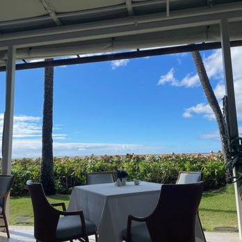 Orchids - The view from my table. - Breakfast & Brunch Near Me - Honolulu, Hawaii Orchids - The view from my table. - Breakfast & Brunch Near Me - Honolulu, Hawaii