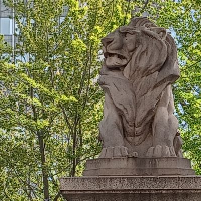 Dorchester Square by null