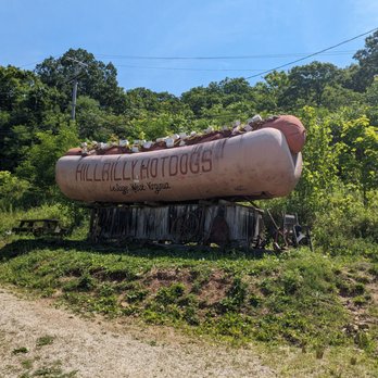 Hillbilly Hot Dogs - Sign - Burgers Near Me - Lesage, West Virginia
