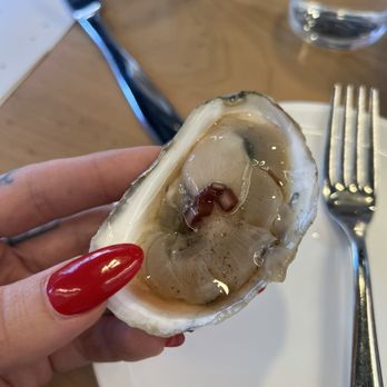 Eventide - Fenway - Oyster - Seafood Near Me - Boston, Massachusetts Eventide - Fenway - Oyster - Seafood Near Me - Boston, Massachusetts