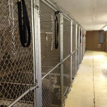 A Wonderdog - Pet Training Near Me - Appling, Georgia