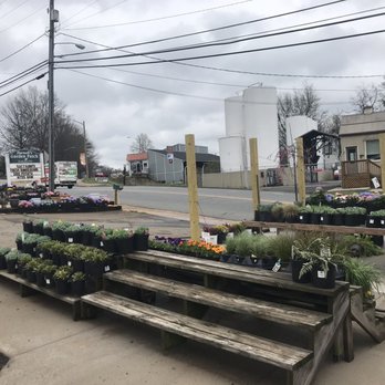 Darnell's Garden Patch - Nurseries & Gardening Near Me - Orange, Virginia