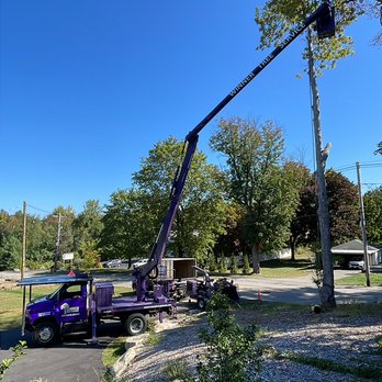 Winner Tree Service - Tree Services Near Me - Stoughton, Massachusetts Winner Tree Service - Tree Services Near Me - Stoughton, Massachusetts