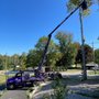 Winner Tree Service